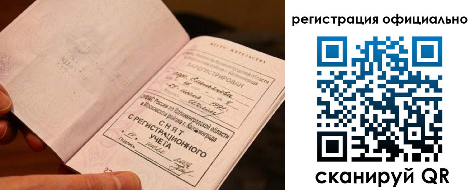 временная регистрация для всех в Светлограде